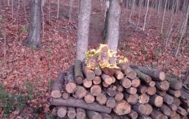 loučení se s podzimem - IMG 20221125 161047 380x240