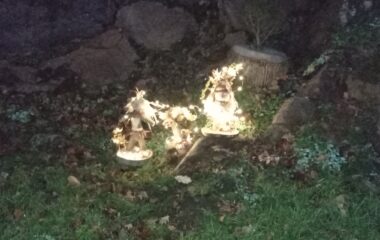loučení se s podzimem - IMG 20221125 163828 380x240