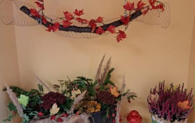 říjnová dobrodružství - IMG 20231023 WA0008 380x240