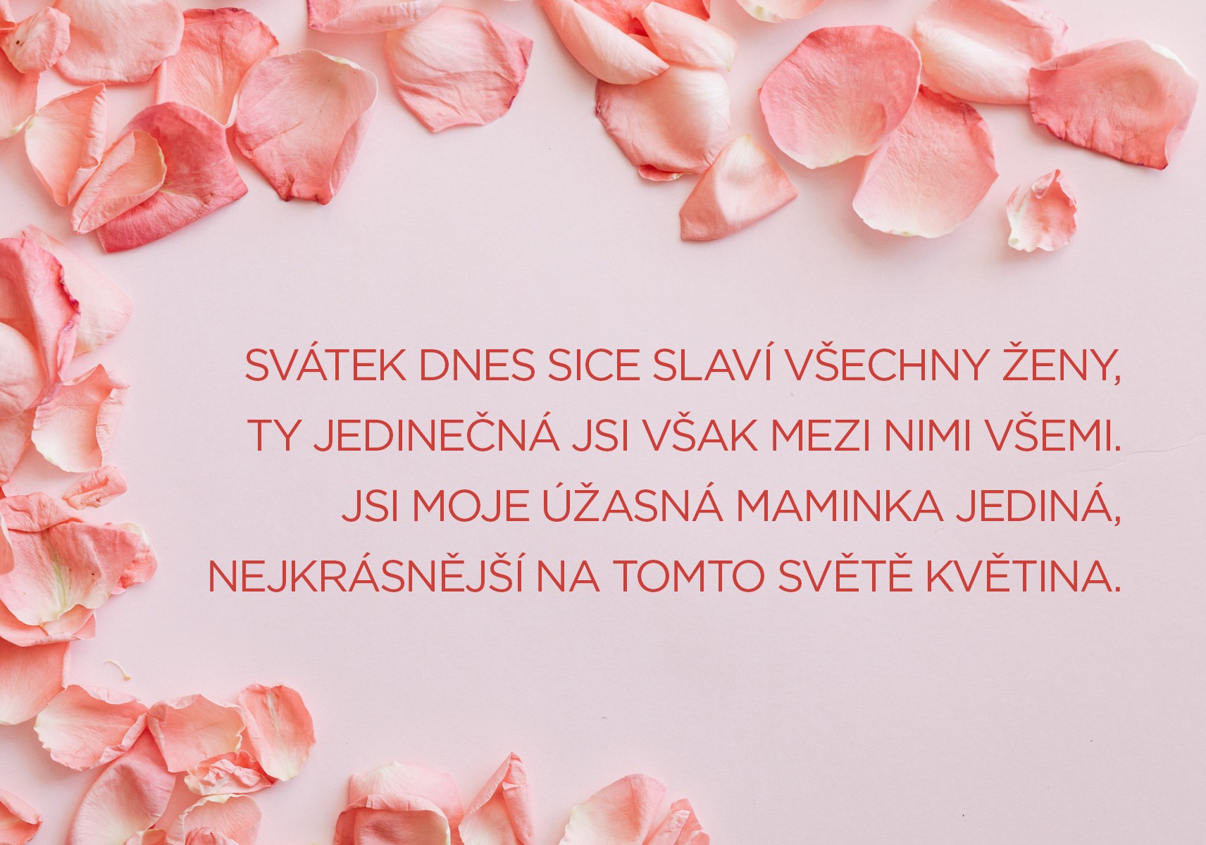 Titulní obrázek prispěvku