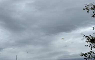 pouštěli jsme draky - IMG 5615 380x240