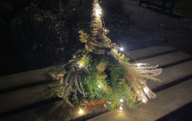 adventní čas - 6337b062 1d85 48c4 b3ab 95426c74df80 380x240