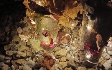adventní čas - 80514a29 4893 42d1 9241 bc11815d59bc 380x240