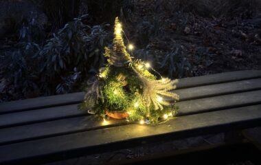 adventní čas - IMG 7223 380x240
