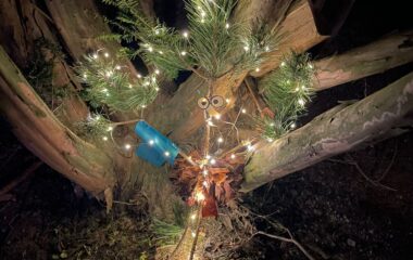 adventní čas - f8e97bd0 645e 4991 b0a4 21cd8a4ea87a 380x240