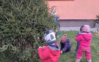 loučení s podzimem - 5c6fde89 003c 4487 9406 73113817353c 380x240