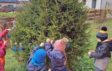 loučení s podzimem - 92d33423 1da5 488d be34 22ce1beeed76 380x240
