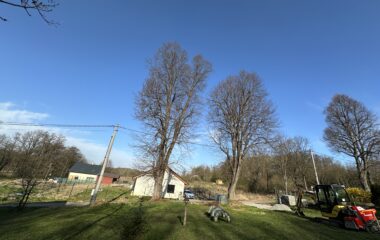 máme nový herní prvek - paráda :-) - IMG 0825 380x240
