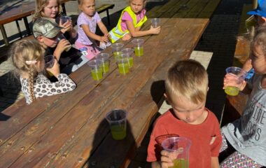 těšili jsme se do školky... - 325fd1f9 a77f 488b 908a cfa96ec6a92d 380x240