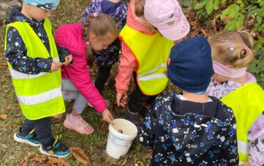 Barvy podzimu - 04a64399 5df6 4944 a4e8 046c9a0f75a7 380x240