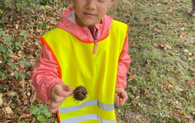 Barvy podzimu - 0910f79b 0e1a 4014 8c10 372d65e3db19 380x240