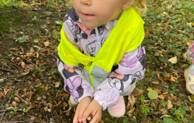 Barvy podzimu - 0b593d0f 5652 4521 8d13 a19f884430e5 380x240