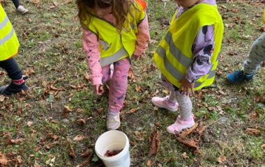 Barvy podzimu - 1961b8d6 f821 4829 afb2 4cf066e0d369 380x240