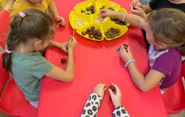 Barvy podzimu - 3d2d4a09 052d 4310 b52e 9aaf47741522 380x240