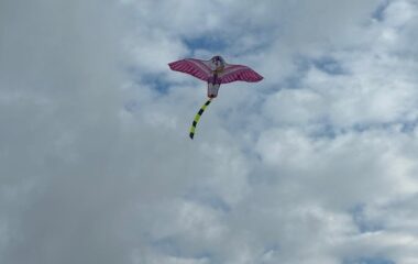 Drakiáda - 45F81AB7 435F 4B73 8D44 4ABA8993BD2D 380x240