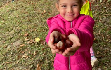 Barvy podzimu - 86a70184 bd0c 4a81 b356 40928e129267 380x240