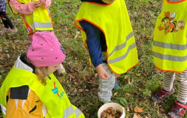 Barvy podzimu - a1c11904 1d7f 4d2d 9a3d 47bdc33e0f14 380x240