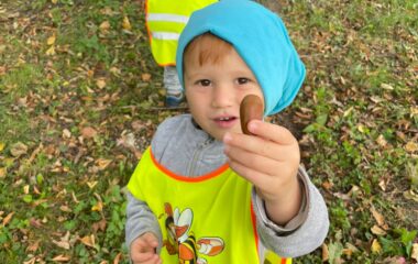 Barvy podzimu - a73732de 2e9b 4c4d 8695 b622adbe8215 380x240