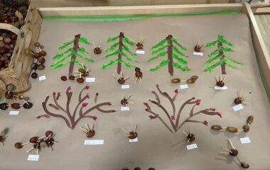 Barvy podzimu - ab096f2d ec46 488c a2dd 6387ec73a72a 380x240