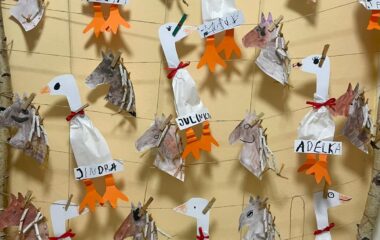 tě&scaron;&iacute;me se na svat&eacute;ho Martina - 7fd02546 c276 46eb 99ed 4ffa9ef5ed38 380x240