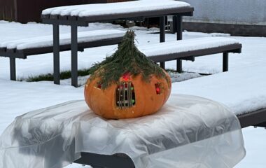 v&iacute;t&aacute;me zimu... - IMG 6487 380x240