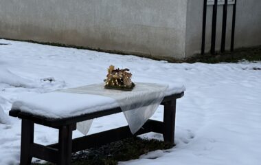 v&iacute;t&aacute;me zimu... - IMG 6490 380x240