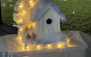 v&iacute;t&aacute;me zimu... - IMG 6491 380x240