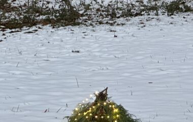 v&iacute;t&aacute;me zimu... - IMG 6497 380x240