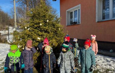 v&iacute;t&aacute;me zimu... - f2f80898 b304 4c1e a1cd 5a24fbc2c56f 380x240