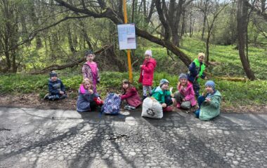 zv&iacute;ř&aacute;tka u n&aacute;s ve &scaron;kolce a v&yacute;let na farmu - 420b3ab5 4e88 403c 9fe2 f057493a7f7d 380x240