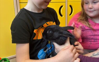 zv&iacute;ř&aacute;tka u n&aacute;s ve &scaron;kolce a v&yacute;let na farmu - 4c484d2c 911b 4205 a57e d4e51a45d6c6 380x240