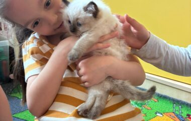 zv&iacute;ř&aacute;tka u n&aacute;s ve &scaron;kolce a v&yacute;let na farmu - 4dac8517 5031 4e73 8ff6 70e8adfbb5eb 380x240