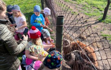zv&iacute;ř&aacute;tka u n&aacute;s ve &scaron;kolce a v&yacute;let na farmu - 6ffa0459 c63d 4c5f 9a7f 2db7bf6cfb3c 380x240