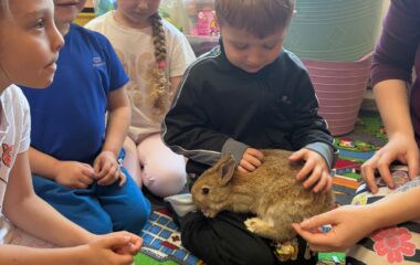 zv&iacute;ř&aacute;tka u n&aacute;s ve &scaron;kolce a v&yacute;let na farmu - 95dab241 39f8 476f 88a0 c43f7c68957c 380x240