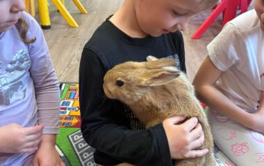 zv&iacute;ř&aacute;tka u n&aacute;s ve &scaron;kolce a v&yacute;let na farmu - bcce2716 3990 4224 88e9 cb3e9c9c1573 380x240