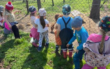 zv&iacute;ř&aacute;tka u n&aacute;s ve &scaron;kolce a v&yacute;let na farmu - e16aab92 cd91 432a 8ef3 4efe6eceae6c 380x240