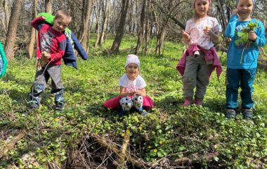 zv&iacute;ř&aacute;tka u n&aacute;s ve &scaron;kolce a v&yacute;let na farmu - f316cf83 a208 4ddd acec 07d66503e8fe 380x240