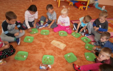 Na podzim u včelky - P9190001 380x240