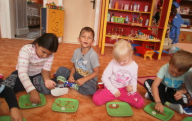 Na podzim u včelky - P9190010 380x240