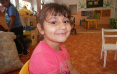 Na podzim u včelky - P9210020 380x240