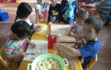 Na podzim u včelky - PA060030 380x240