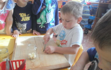 Na podzim u včelky - PA060031 380x240