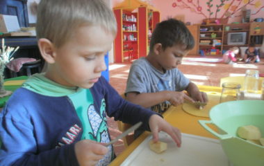 Na podzim u včelky - PA060035 380x240