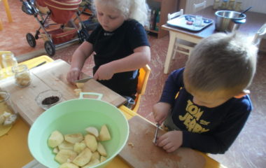 Na podzim u včelky - PA060036 380x240