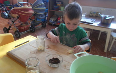 Na podzim u včelky - PA060037 380x240