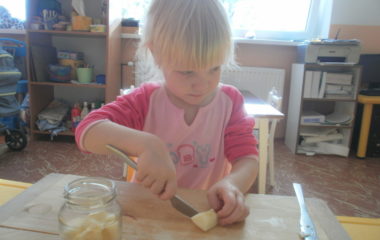 Na podzim u včelky - PA060038 380x240