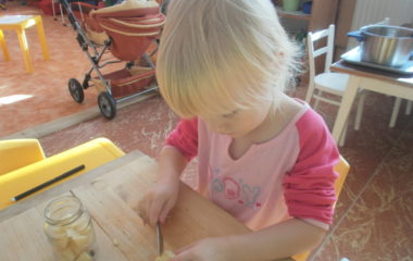 Na podzim u včelky - PA060039 380x240