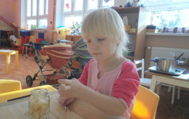 Na podzim u včelky - PA060040 380x240