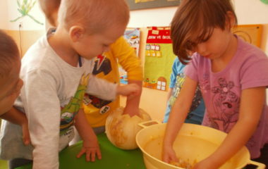 Na podzim u včelky - PA300001 380x240