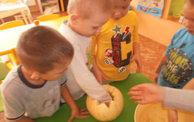 Na podzim u včelky - PA300002 380x240